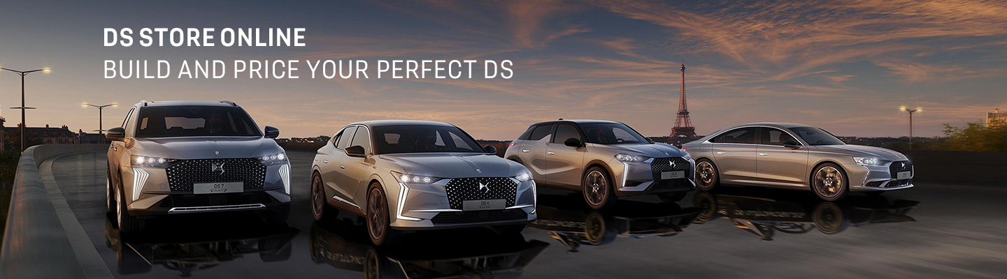 DS Online Store 